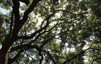 Иран заявил о готовности к переговорам по ядерной программе