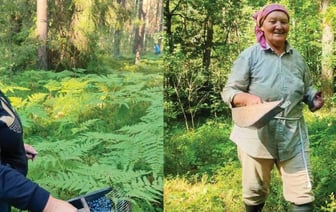 Надо знать места: жительницы Брестчины съездили в лес и посмотрели урожай черники