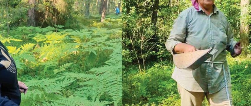 Надо знать места: жительницы Брестчины съездили в лес и посмотрели урожай черники