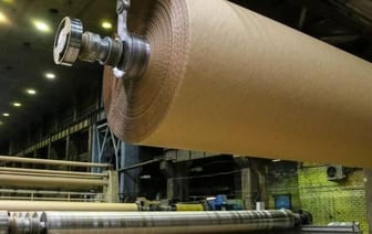 Новый целлюлозно-картонный комбинат построят в Беларуси