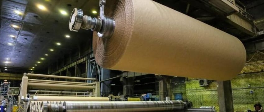Новый целлюлозно-картонный комбинат построят в Беларуси