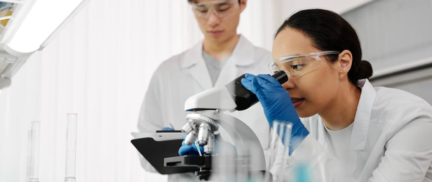 Ученые обеспокоены: в водах Бразилии обнаружены акулы-наркоманы