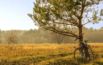 Полный запрет на посещение лесов действует в Полоцком районе и Новополоцке