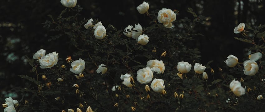 Повышение цен на бензин и дизтопливо в Беларуси