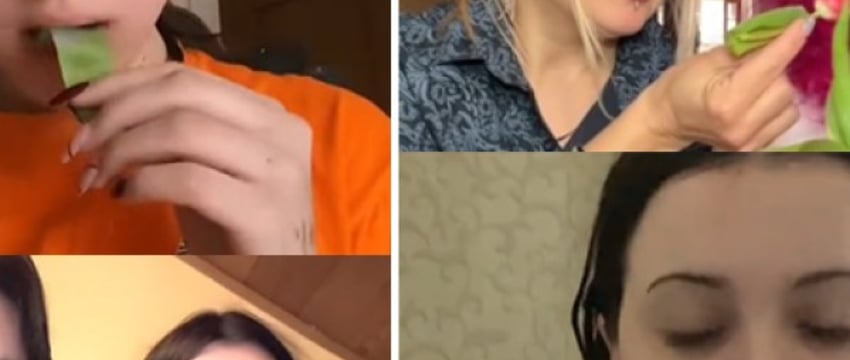 Необычный тренд в TikTok: девушки едят тюльпаны и говорят, что цветы вкусные