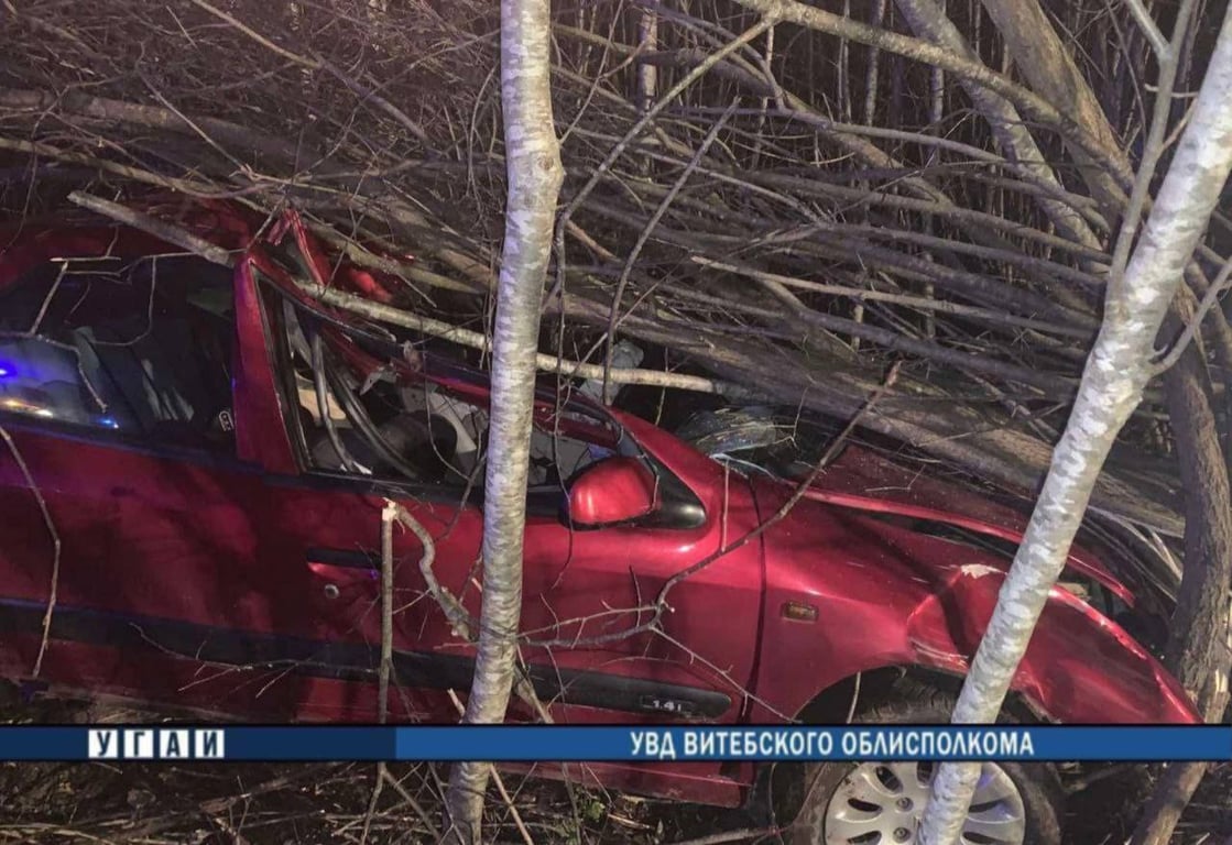 Мама с двумя детьми на «Citroen Xsara» врезалась в лося в Россонском районе