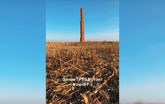 «А как по-твоему лето приходит?» — Кирпичная труба посреди поля на Гомельщине поставила в тупик тысячи пользователей TikTok — Видео