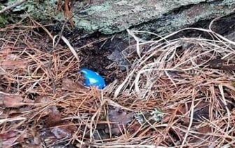 Продажа наркотиков и преступность: Житель Ивацевичей осужден за незаконную деятельность