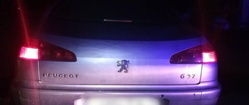 В Брестской области на 6-летнюю девочку наехал автомобиль