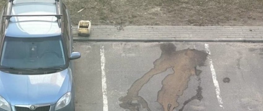 Сосед разлил моторное масло на асфальт. Предусмотрена ли за это ответственность в Беларуси?