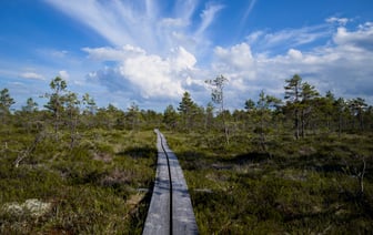 Литва начала строительство военного городка для немецких военных