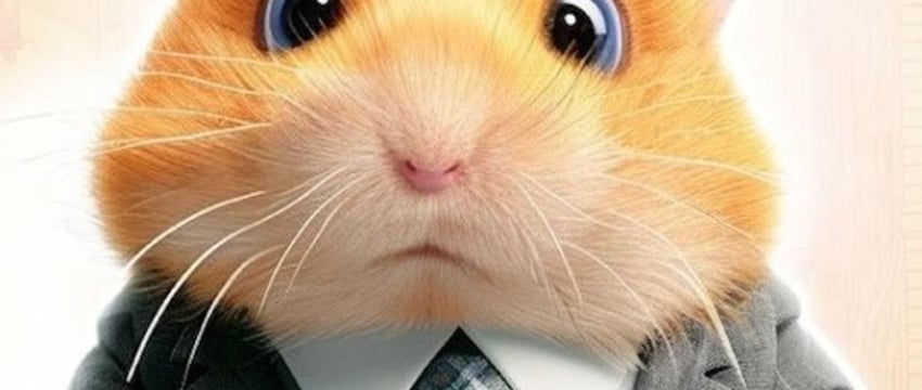 Белорус хотел задонатить в Hamster Kombat. Но всё пошло не по плану