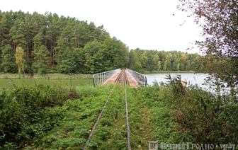 Под Гродно приостановили поездки по узкоколейной дороге — с чем это связано