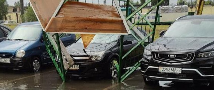 На Гомель обрушились град и ливень: повалены деревья и сорваны крыши