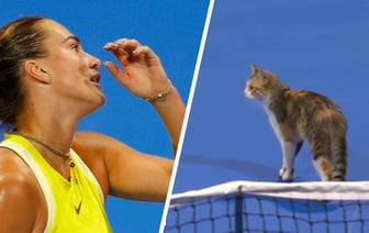 Кошка вмешалась в матч Соболенко на турнире WTA 1000. Но в сенсационном провале теннисистки виновна не она — Видео