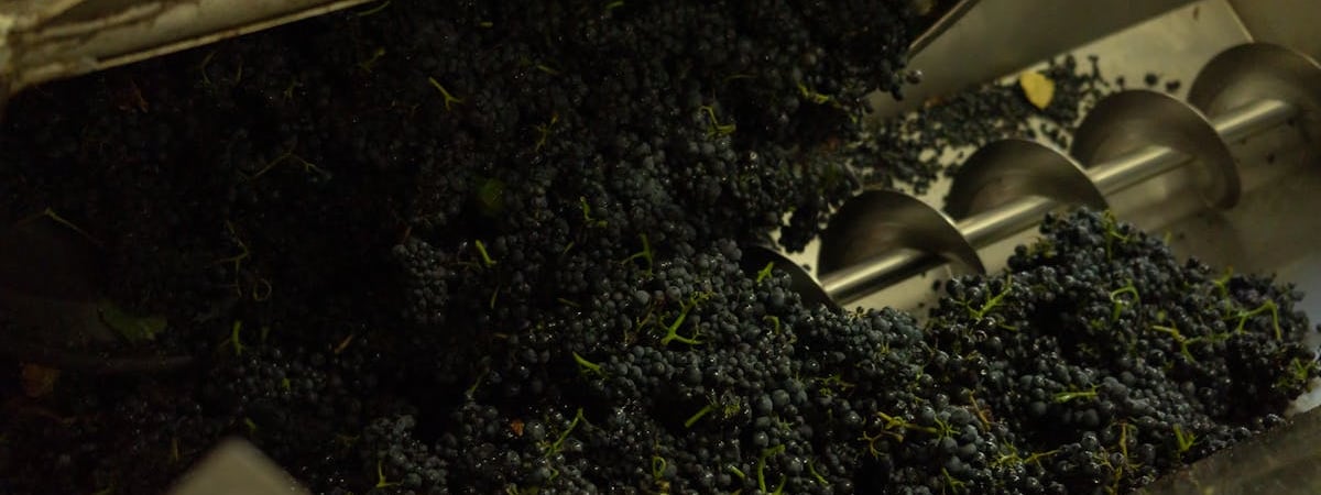 Минский завод виноградных вин прекратит поставки в Россию после слов о «шмурдяке»