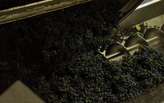 Минский завод виноградных вин прекратит поставки в Россию после слов о «шмурдяке»