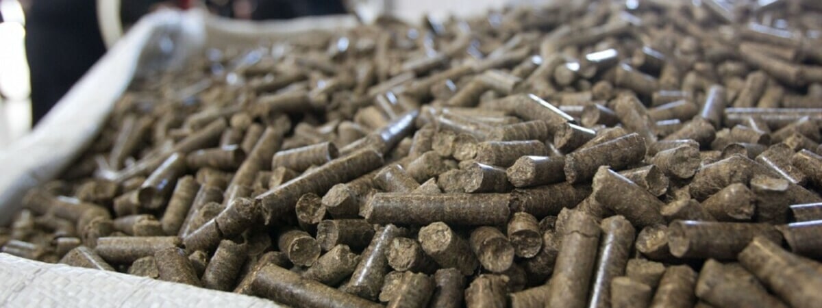 Минлесхоз установил розничные цены на топливные пеллеты для белорусов