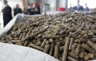 Минлесхоз установил розничные цены на топливные пеллеты для белорусов