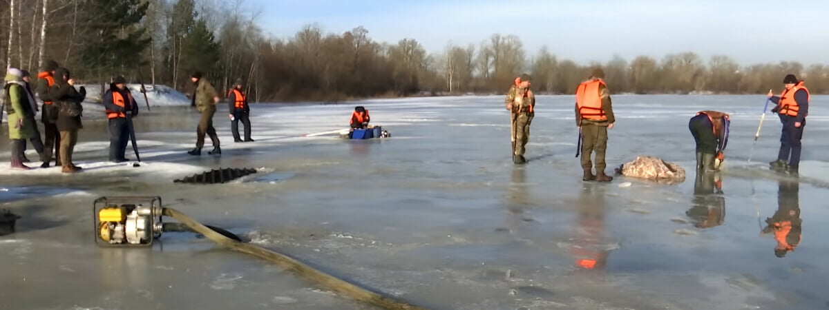 В водоемах Гомеля начала всплывать рыба. Что выяснили в природоохране — Видео
