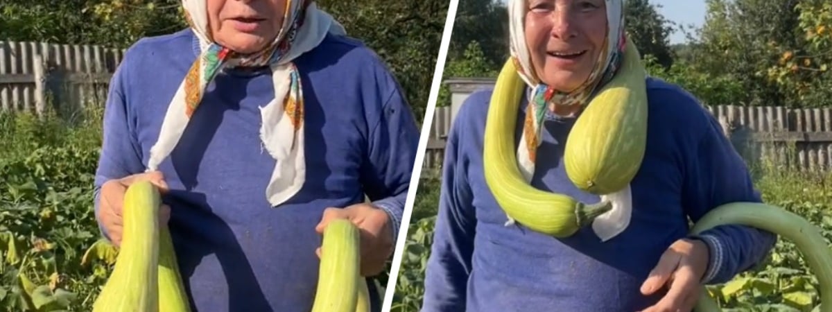«Срочно нужен сорт» — Белоруска показала кабачки, которые можно носить на шее — Видео