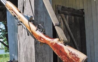 Незаконно добытый на охоте олень благородный стал «золотым»