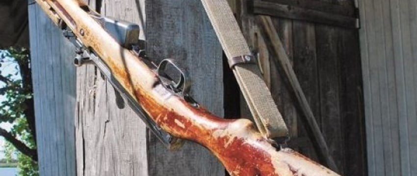 Незаконно добытый на охоте олень благородный стал «золотым»