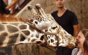 Выходные в Гомеле. Куда сходить 1-2 февраля?