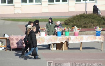 «Сегодня 3,50, завтра могут быть и по 4 рубля» — посмотрели, по какой цене продают тюльпаны в центре Гродно