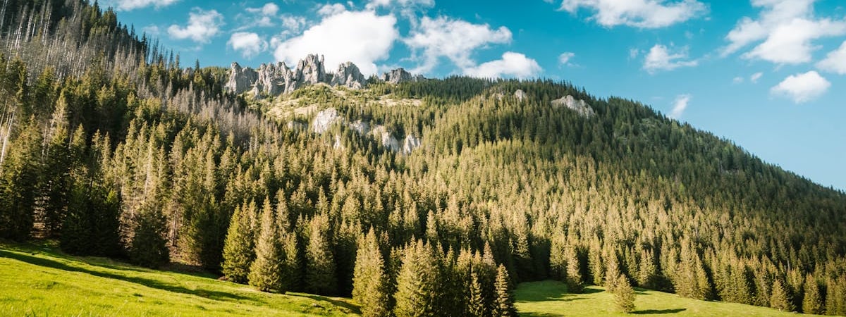 Польша продлила действие буферной зоны на границе с Беларусью на 90 дней