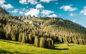 Польша продлила действие буферной зоны на границе с Беларусью на 90 дней