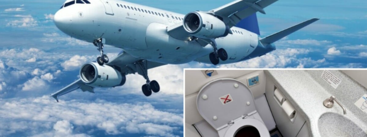 Как работает туалет в самолете? Узнали, могут ли отходы упасть на землю — Полезно