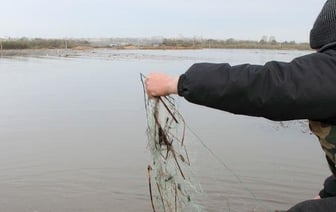На Брестчине 19 исков о нарушениях природоохранных норм и 52 тысячи ущерба