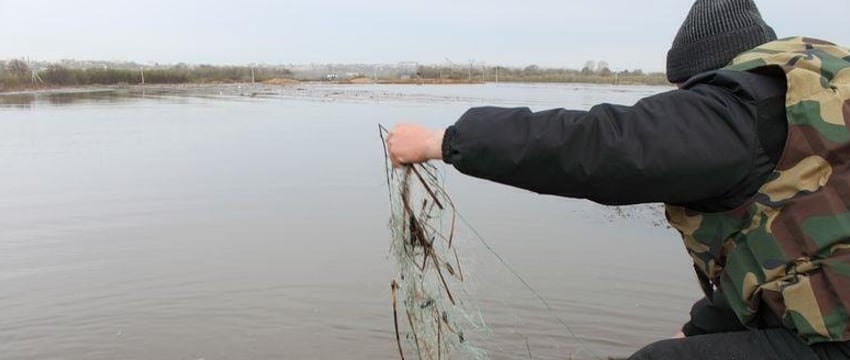 На Брестчине 19 исков о нарушениях природоохранных норм и 52 тысячи ущерба