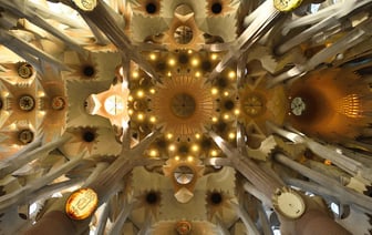 Лукашенко наградил премией свою невестку