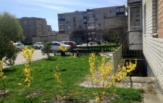 Проблема с шумом: жалоба жительницы Каменчанки