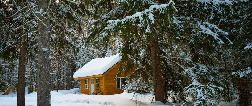 Рукотворную «Зимнюю сказку» создали в Полоцке мастера из разных городов Беларуси