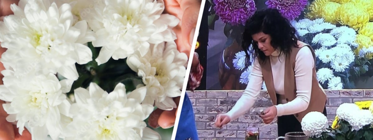 Зачем мариновать хризантемы? Эта необычная закатка на зиму подойдет не только любителям экспериментов — Полезно