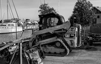 Кота реанимировали в Литве после 20-минутного нахождения в стиралке