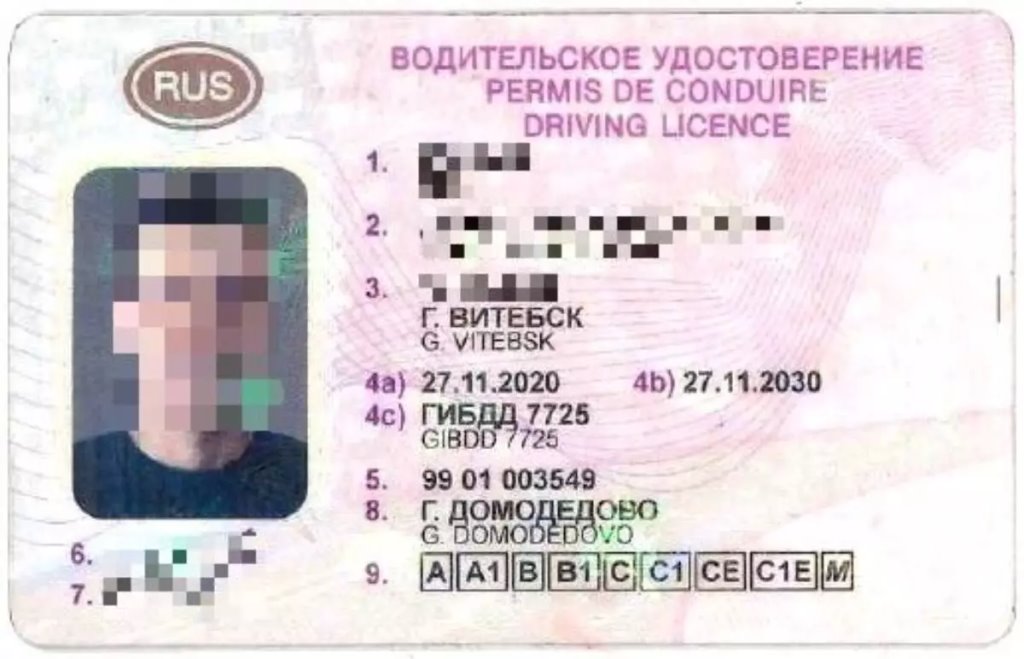 Белорус предъявил литовским пограничникам напечатанные на принтере «права»