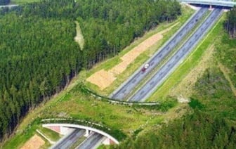 Как выглядят пешеходные мосты для животных