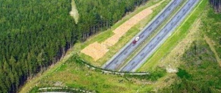 Как выглядят пешеходные мосты для животных