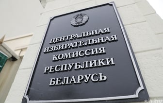 Вторая белоруска принесла документы в ЦИК для участия в президентских выборах — Видео