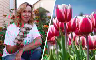 Зачем садить тюльпаны в лотке для яиц? Вот как этот трюк от садовода поможет сделать идеальную клумбу — Полезно