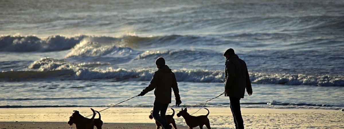 Украина получила от МВФ новый транш на $400 млн