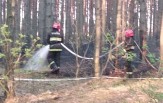 Спасатели Брестской области за минувшую неделю более 20 раз выезжали на тушение палов