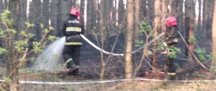 Спасатели Брестской области за минувшую неделю более 20 раз выезжали на тушение палов