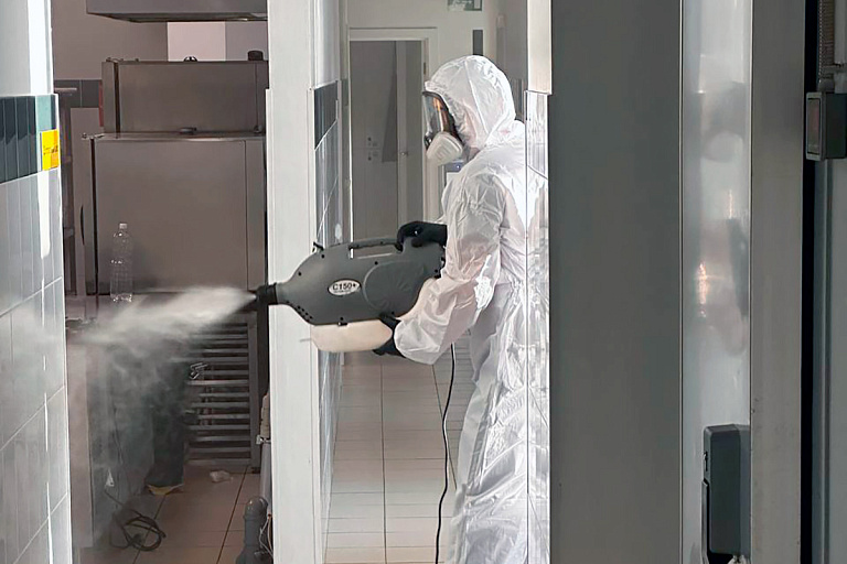 Охотники за тараканами: белорус рассказал, как ведет бизнес по дезинсекции