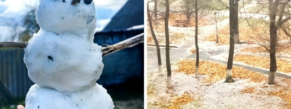 «Эй, придержите зиму» — Жители Гомеля и Витебска сняли на видео первый снег — Видео