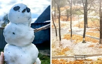 «Эй, придержите зиму» — Жители Гомеля и Витебска сняли на видео первый снег — Видео